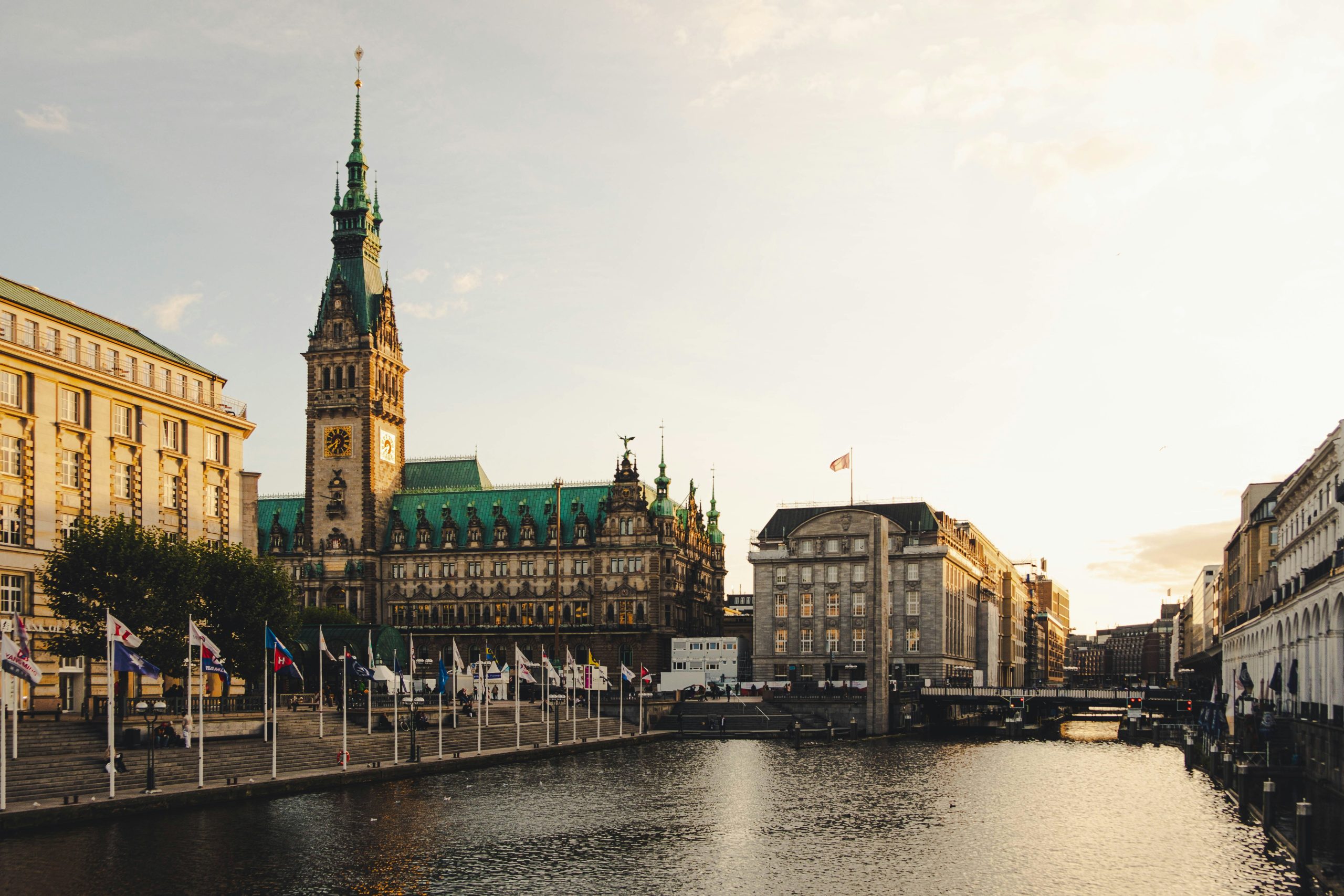 Hundefriseure in hamburg